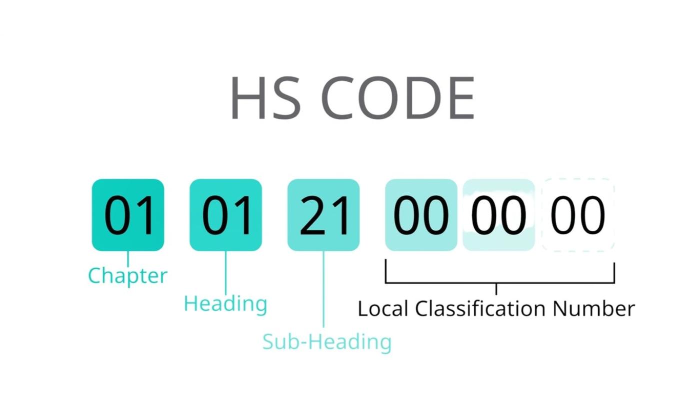 HS and PCT codes, explained simply